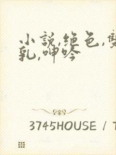 小说,绝色,双乳,呻吟