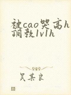 被cao哭高h调教1v1h