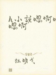 h小说嗯啊嗯啊嗯啊