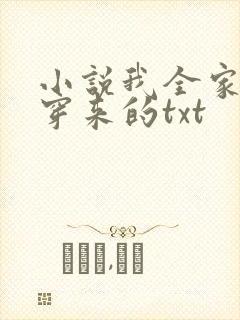 小说我全家都是穿来的txt