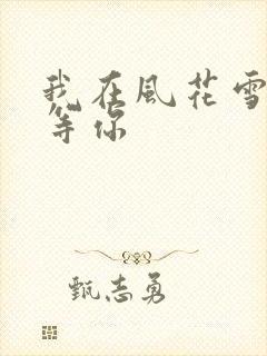 我在风花雪月里等你封面
