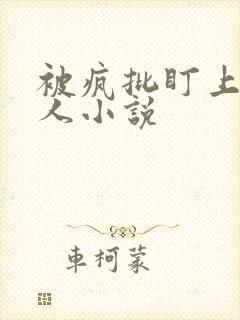 被疯批盯上的美人小说封面