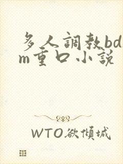 多人调教bdsm重口小说