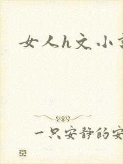 女人h文小说封面