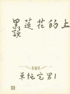 黑莲花的上位小说封面