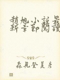 赵旭小说最新更新章节阅读免费