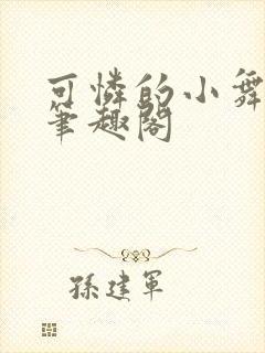 可怜的小舞小说笔趣阁