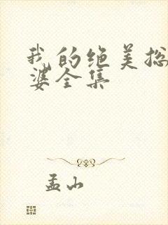 我的绝美总裁老婆全集