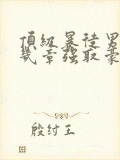 顶级暴徒男主第几章强取豪夺的