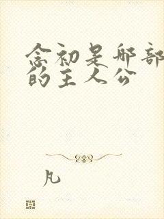 念初是哪部小说的主人公