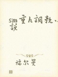 sm重h调教小说