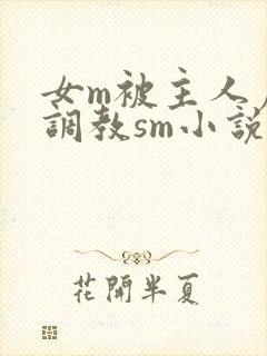 女m被主人虐玩调教sm小说封面