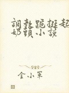 调教跪挺起抽打奶头小说封面