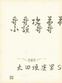 哥哥攻 弟弟受小说 哥哥封面