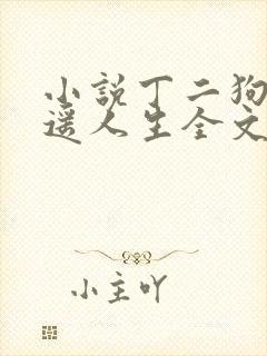 小说丁二狗的逍遥人生全文封面