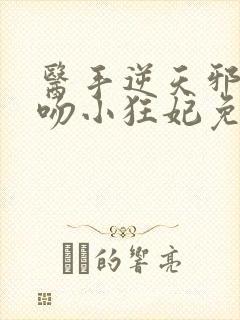 医手逆天邪王毒吻小狂妃免费阅读封面