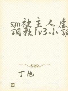 sm被主人虐玩调教1v3小说