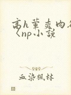 高h荤爽肉欲文〈np小说