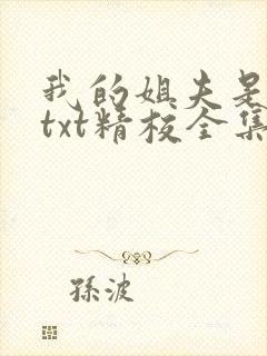 我的姐夫是太子txt精校全集下载