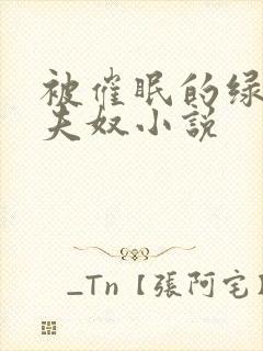 被催眠的绿帽夫夫奴小说