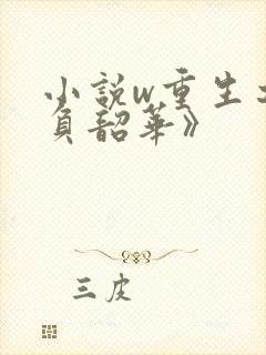 小说w重生之不负韶华》