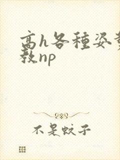 高h各种姿势调教np