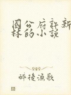 国公府许新许昭林的小说