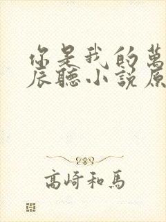 你是我的万千星辰听小说原声