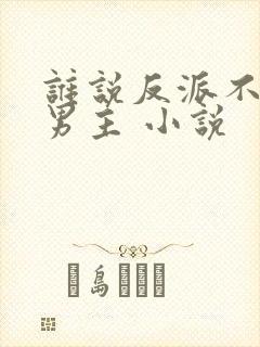 谁说反派不能当男主 小说