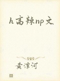 h高辣np文