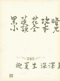 黑莲花攻略手册小说全本免费下载