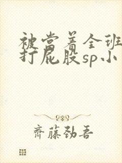 被当着全班羞耻打屁股sp小说封面