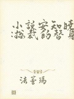 小说安知晓作品:总裁的替身前妻完整版