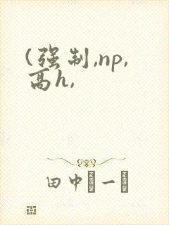 (强制,np,高h,封面