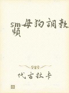 sm母狗调教视频