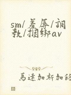 sm/羞辱/调教/捆绑av