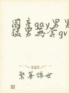 国产gay男男猛男无套gv
