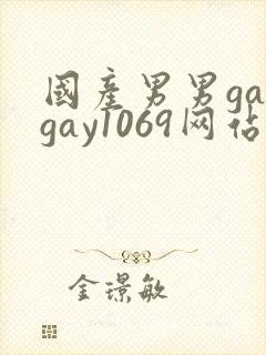 国产男男gaygay1069网站