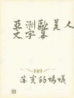 亚洲欧美人成中文字幕封面