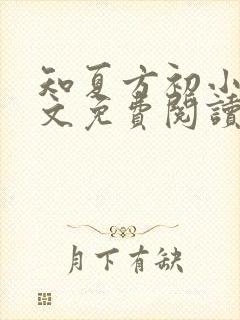 知夏方初小说全文免费阅读最新章节封面