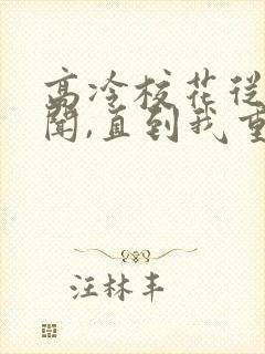 高冷校花从无绯闻,直到我重生全文在线阅读