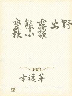 变态露出野外调教小说封面