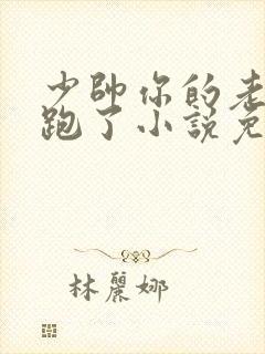 少帅你的老婆又跑了小说免费阅读