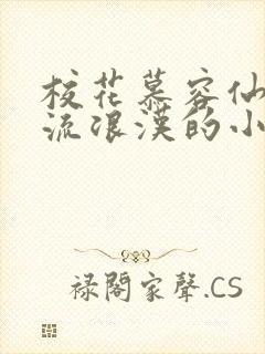 校花慕容仙儿和流浪汉的小说