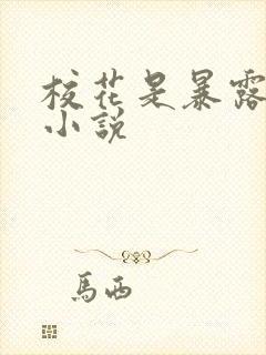 校花是暴露狂的小说