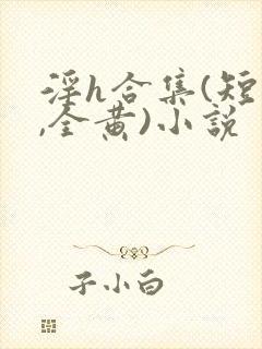 淫h合集(短篇,全黄)小说