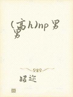 (高h)np男男
