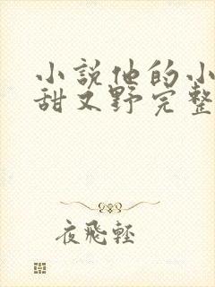 小说他的小祖宗甜又野完整版