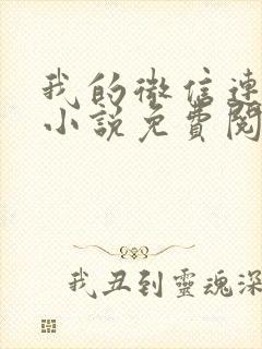 我的微信连三界小说免费阅读封面