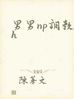 男男np调教高h